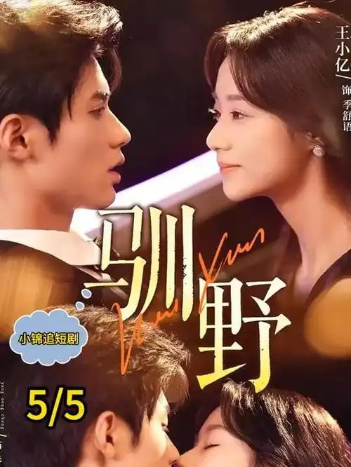 城中月剧集海报